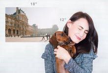 Load image into Gallery viewer, 12"x18" Poster Print