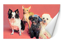 Load image into Gallery viewer, 12"x12" Poster Print