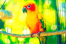 Load image into Gallery viewer, 16"x24" Pet Canvas Print - (Frame Available)