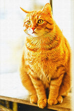 Load image into Gallery viewer, 32"x48" Poster Print