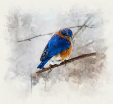 Load image into Gallery viewer, 16"x16" Pet Canvas Print - (Frame Available)