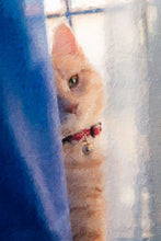 Load image into Gallery viewer, 24"x36" Pet Canvas Print - (Frame Available)