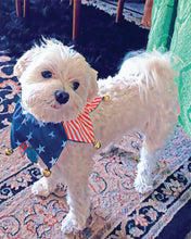 Load image into Gallery viewer, 12&quot;x18&quot; Pet Canvas Print
